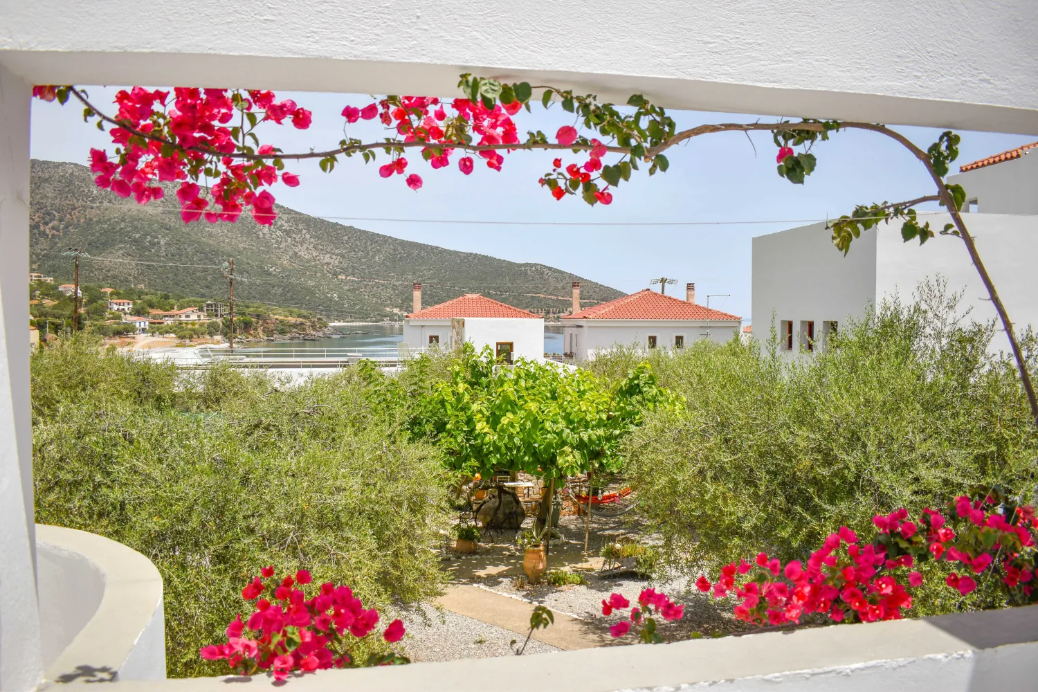 Bougainvillea flowers on a whitewashed Greek building